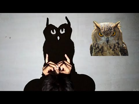 hand shadow animals III how to make cow  goat owl Swan and Squid shadow