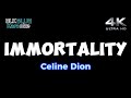 Immortality - Celine Dion (karaoke version)
