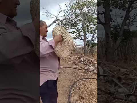 ceará senador Pompeu