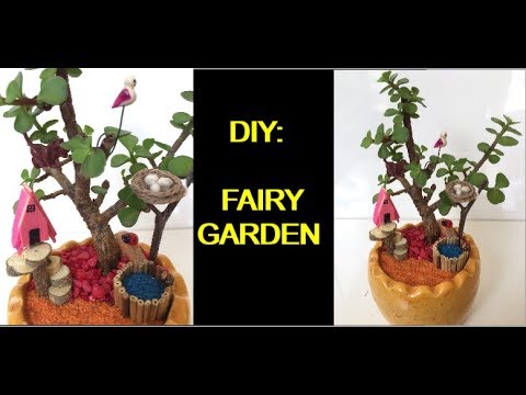 How to make Fairy Garden in small pot||Backyard Gardening Video