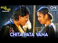 Chita Pata Vana Akkum Bakkum Ali Yuvarani S P Balasubrahmanyam K S Chithra Romantic Song