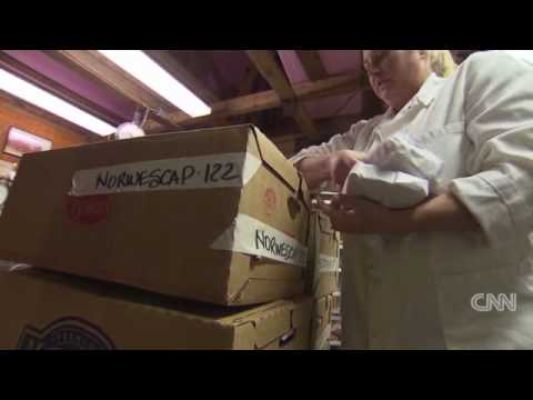 Hunters feed the hungry