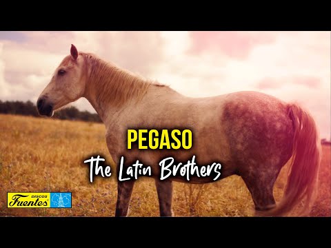 Pegaso - The Latin Brothers (Video Letra) | Discos Fuentes