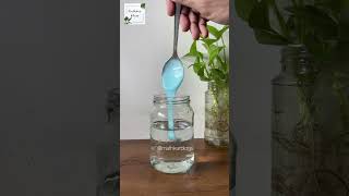 💦Easy way to test water hardness 💧#skincareblogger #haircareroutine #skincareroutine #hardwater