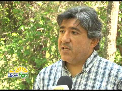 Programa Rio4Agro Nº13 - 03 de Nov. de 2011.