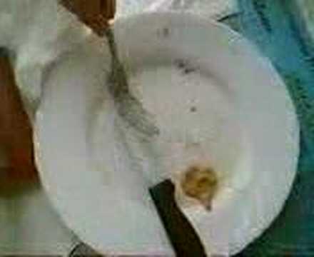 RESTO REPETITIONS QUIEVY DINDON