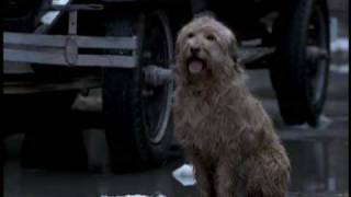 Annie (1999) - Part 3/10