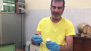 L'igiene e la cura delle zampe una prevenzione fondamentale