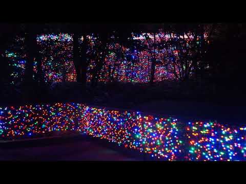 Edday X Gucci C - Baby Donne Moi Sa (Prod By Deejay Guyguy 2018)