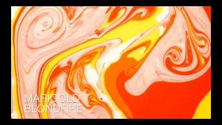 Blondfire - Marigold (Official Lyric Video)