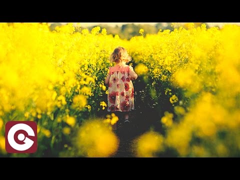 PROVENZANO X SCARLET - Sunshine & Happiness (Leandro Da Silva Remix) | Feel-Good Vibes