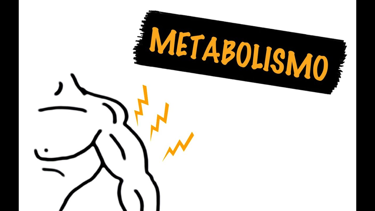 Como o Seu Metabolismo Influencia a Perda de Peso | Autoridade Fitness