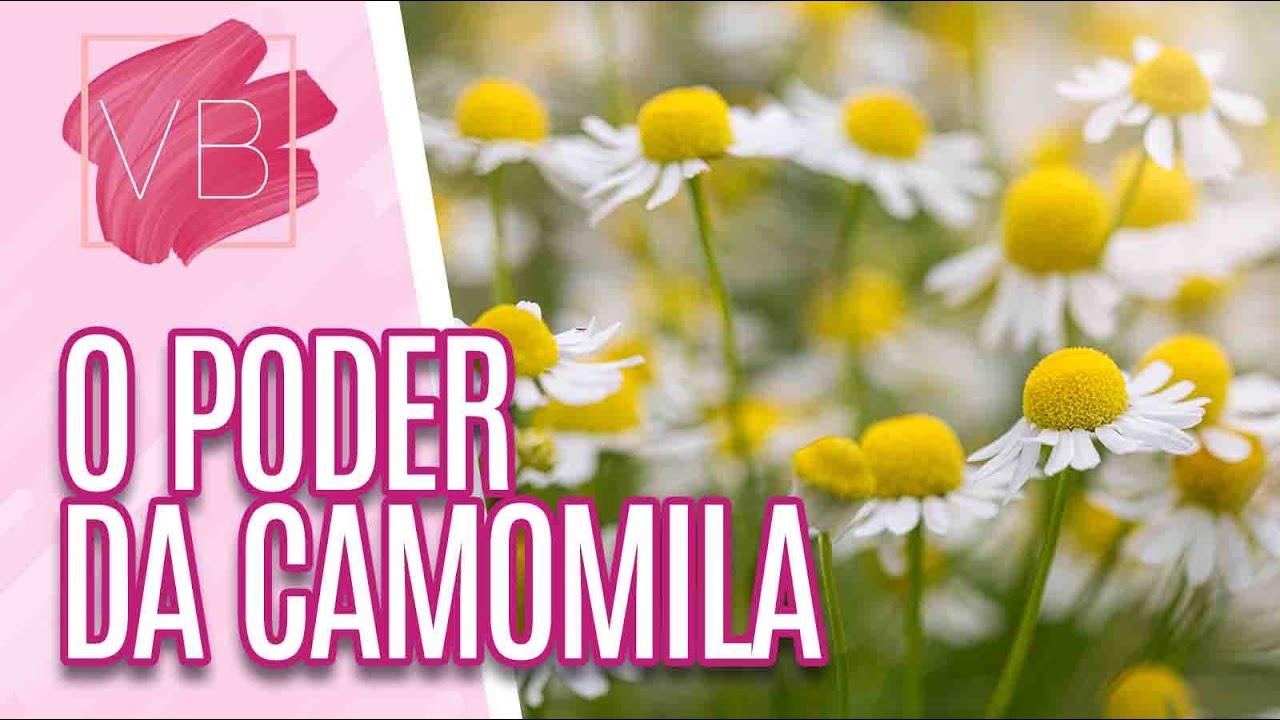O Poder da Camomila - Você Bonita (25/01/17)