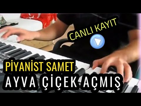 Piyanist SAMET - AYVA ÇİÇEK AÇMIŞ (ayva cicek acmis) rumeli