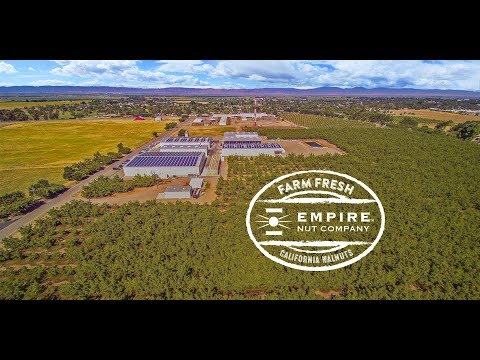 download lagu mp3 mp4 Fresh California Walnuts, download lagu Fresh California Walnuts gratis, unduh video klip Fresh California Walnuts