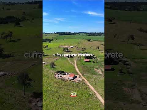FAZENDA À VENDA EM ITAUÇU – GO,  71,69 ALQUEIRES DE TERRA DE CULTURA #fazendaavenda #agro