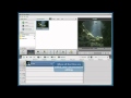 How To Create Fast Motion Effect In Your Video Using AVS Video Editor