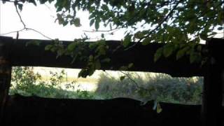 Operator -  Korner/ Miller/ Plant