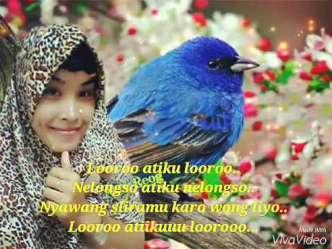 ARYA SATRIA & NOVA QUEEN ~ TRESNO KALINGAN WONG TUO