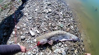 Рыбалка в щелковском водохранилище на сома