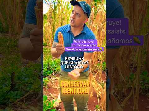 Milei abandona el campo y destruye las economías regionales