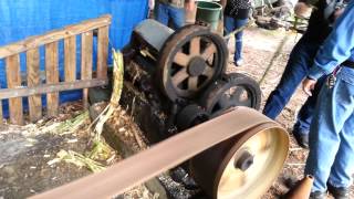 Annual Looper Family Sugarcane Grinding Reunion