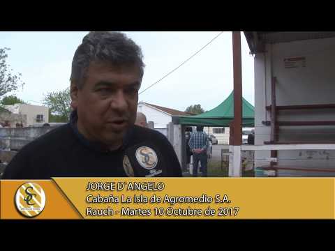 10-10-17 Nota Jorge D`Angelo - Cabaña La Isla - Rauch.