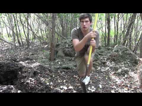 How to Make Perfect Compost From Grass Clippings From Start to Finish