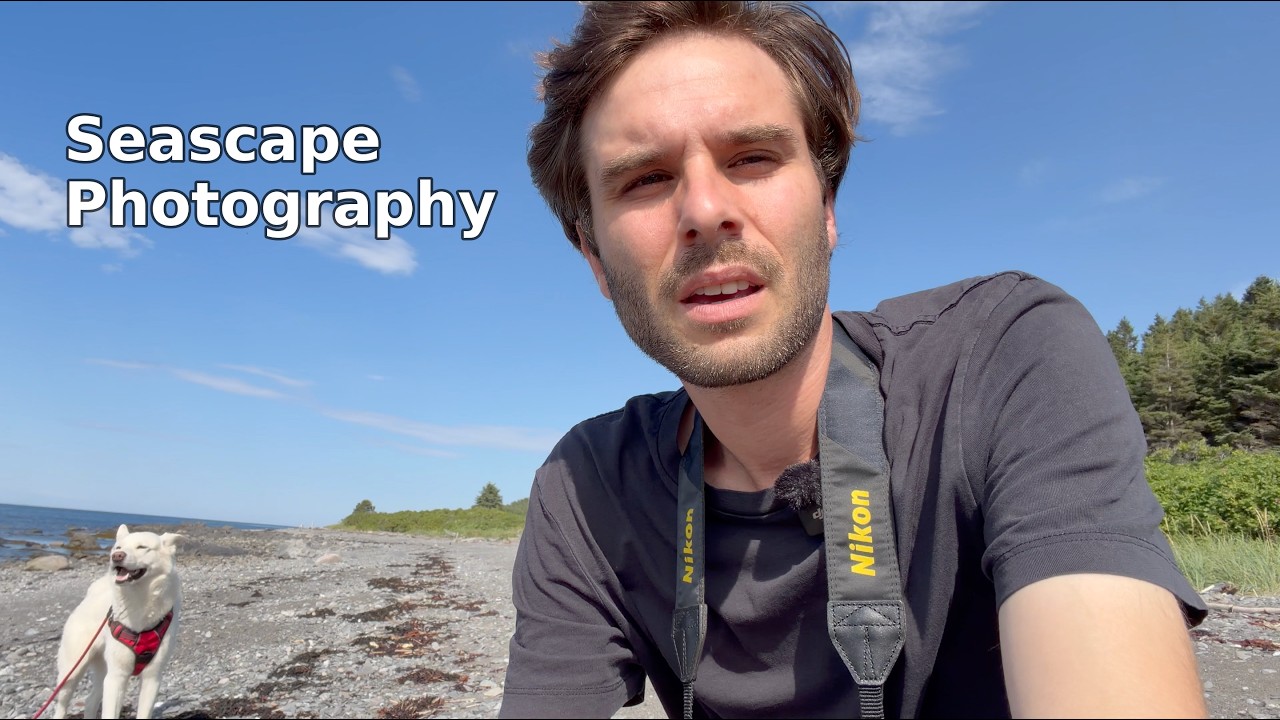 Preview image for a video