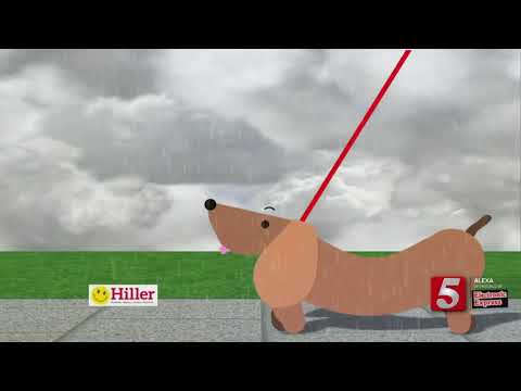 Lelan's early morning forecast: Wednesday, October 16, 2019