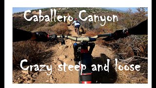 Disco Panic and Cookies Trails (Caballero Canyon).