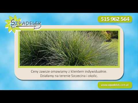 Zobacz filmy, Szpadelek Krzysztof Piotrowski, Szczecin