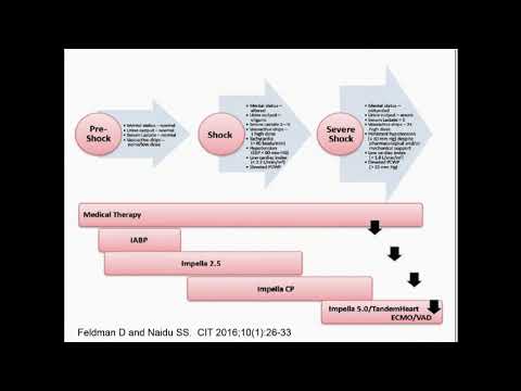 Hemodynamic Support: Why and When? - Srihari Naidu, MD