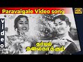 Paravaigale Video Song Dharmam Thalai Kaakkum Movie MGR Sarojadevi