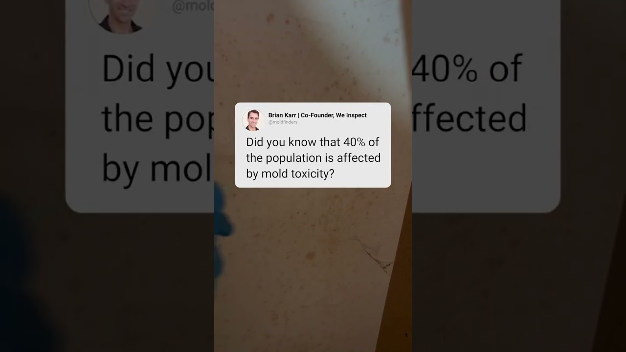 40% of People Suffer From Mold Toxicity