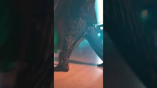 Video thumbnail for 🎨👨🏽🎨Mariano ”Chicho” Frumboli and 🧚🏼♀️🌸Juana Sepulveda A los Amigos Tango Festival 2017