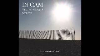 DJ Cam - Late Night Drive