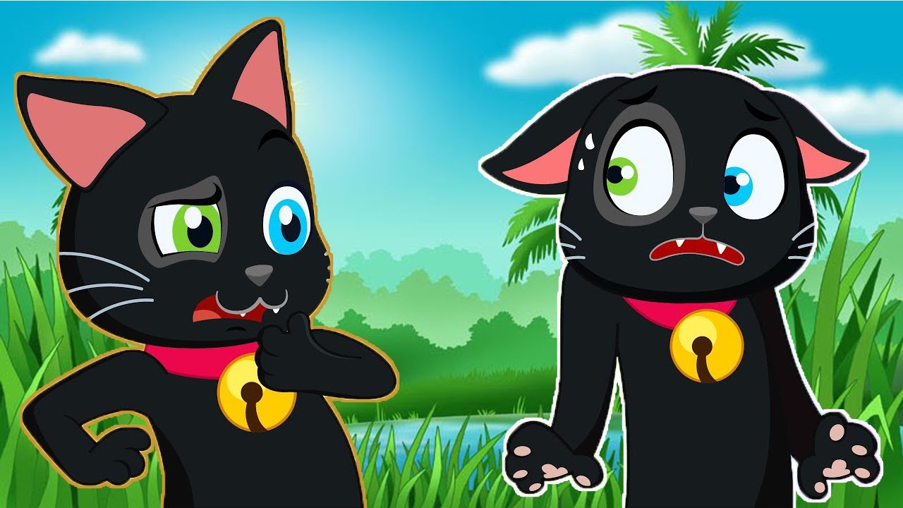 Misifu está de volta aos holofotes! Histórias geladas sobre diferentes aventuras | A Bruxinha Tatty