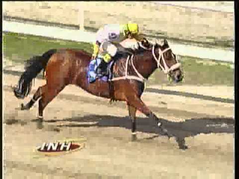 Resumen Viernes, 06 de Diciembre de 2013 - La Rinconada