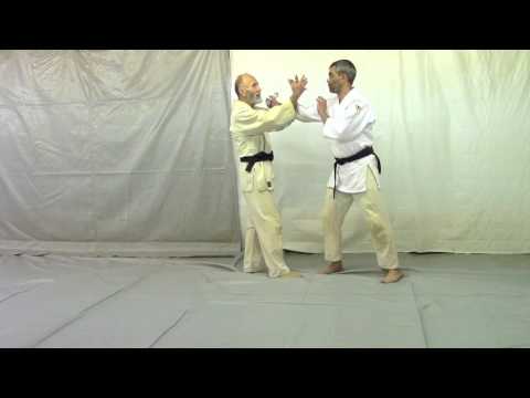 Aikido: Yokomen Uchi Tenchi Nage Leading