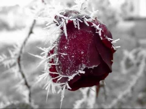 Lost Witness & Andrea Britton - (My heart will) Wait for you [Quadraphonic mix]