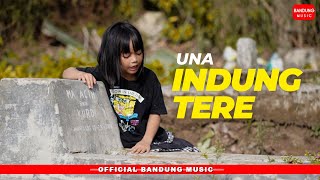Download lagu INDUNG TERE - UNA mp3