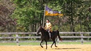 preview picture of video 'Man Riding Horse, Kings Landing Park'