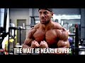 TRAIN EFFECTIVELY ON A LOW CARB DIET | THE WAIT IS NEARLY OVER!