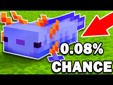How I found the Rare Blue Axolotl in Minecraft...