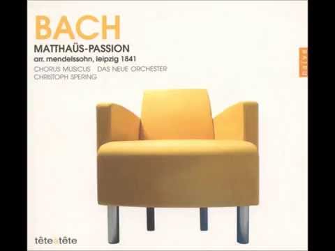 Immagine anteprima YouTube