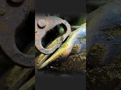 UM PREGO ESCONDIDO ERA A ORIGEM DE TODO O PROBLEMA