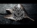 MF Grimm - Lift Me Up [AMERICAN HUNGER] HQ
