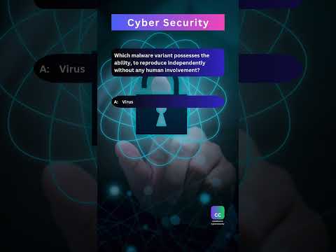 44 Become a MASTER of Cyber Security in 2024