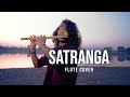 ANIMAL SATRANGA Flute Cover By Divyansh Shrivastava Ranbir Kapoor Rashmika Arijit Singh